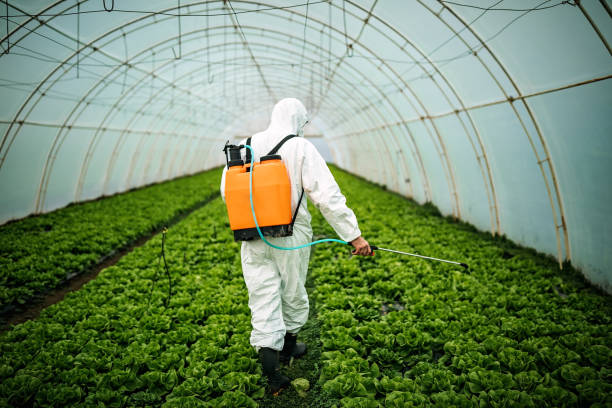 Best Best Pest Control Companies  in Edgemoor, DE