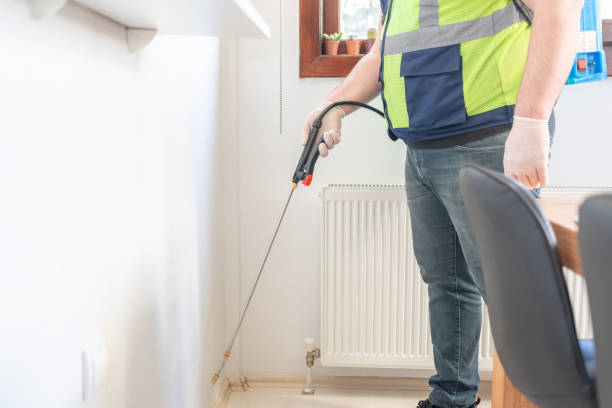 Best Affordable Pest Control Services  in Edgemoor, DE