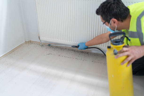 Best Cockroach Control Services  in Edgemoor, DE